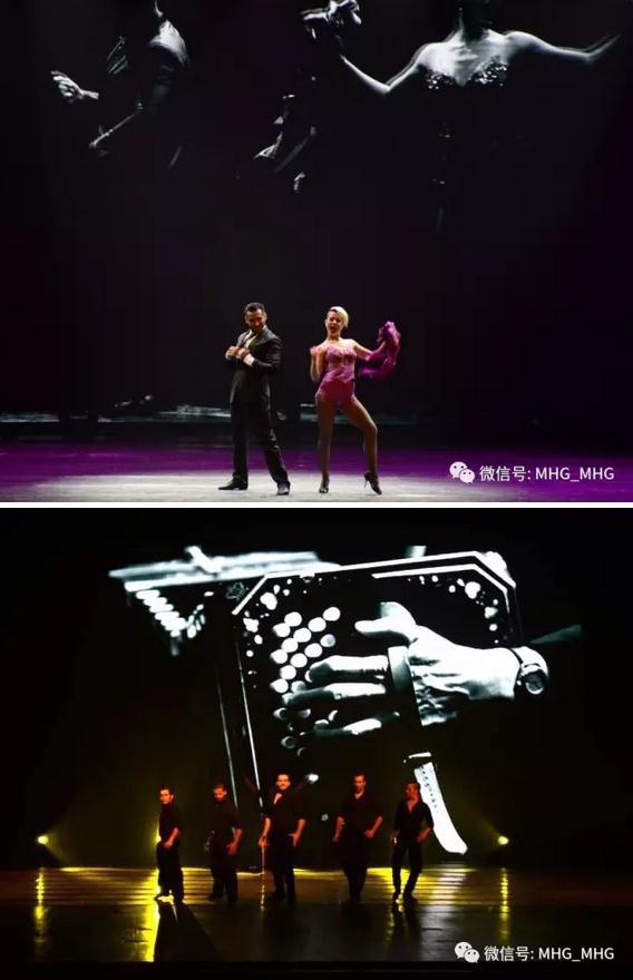 ̽������Ī������������춥���赸�����ݲ��������Ĵ�����̽����