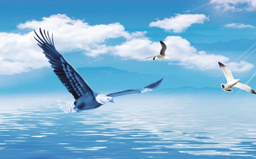 ��������(����կ)�ٷ���վ