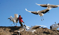 ����ʽ��������ϵͳ