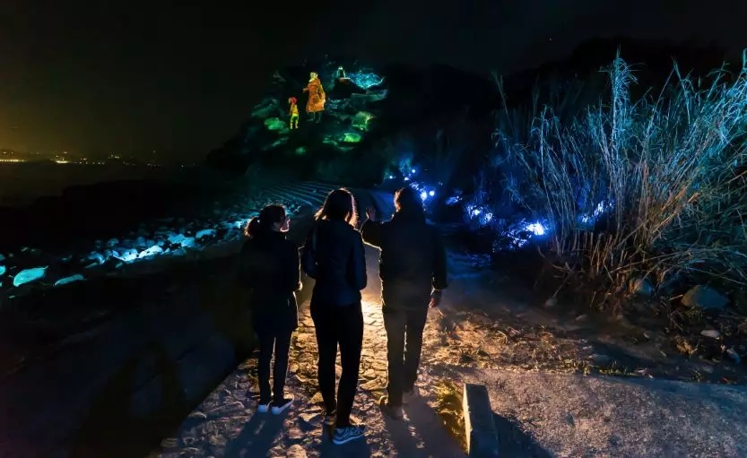 ����������� �����������ʵ�Ĵ�Խ��