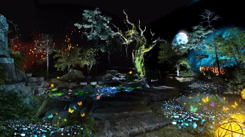 ����ʽʵ����Ӱ�㡪��ɭ֮��