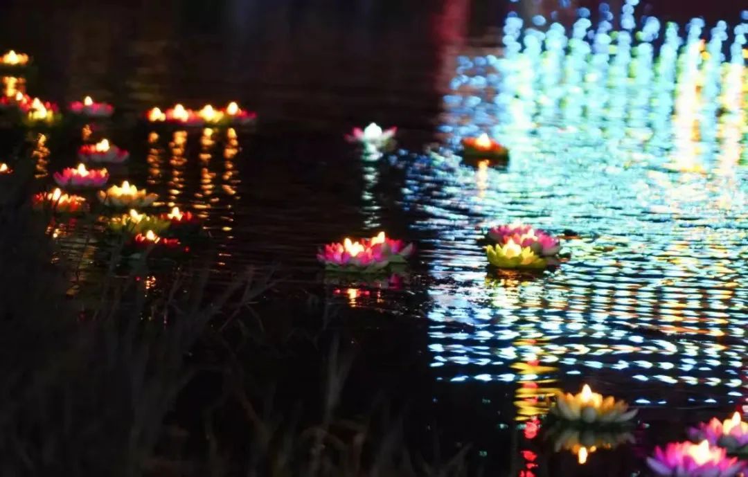 ��������(����կ)�ٷ���վ