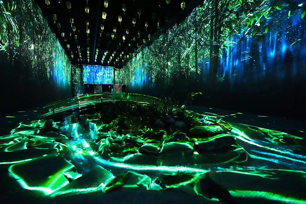 ��������(����կ)�ٷ���վ