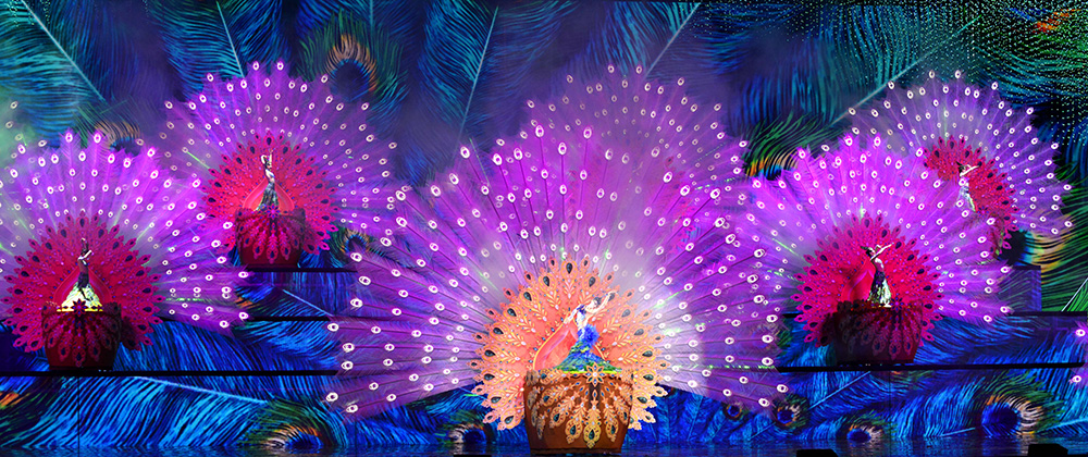 ��������(����կ)�ٷ���վ