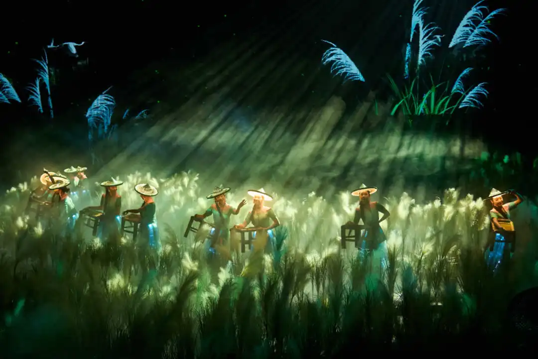 ��������(����կ)�ٷ���վ