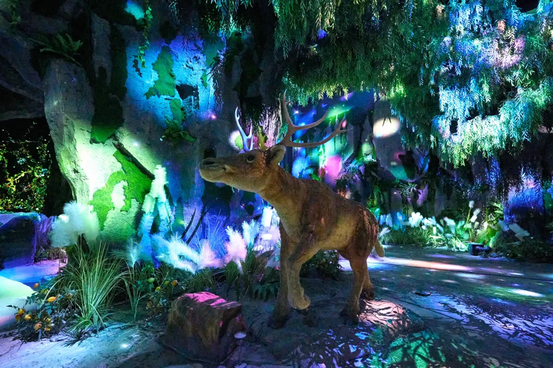 ��������(����կ)�ٷ���վ