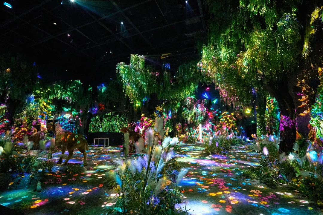 ��������(����կ)�ٷ���վ