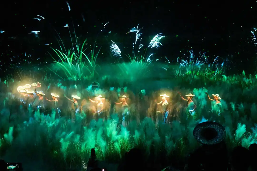 ��������(����կ)�ٷ���վ