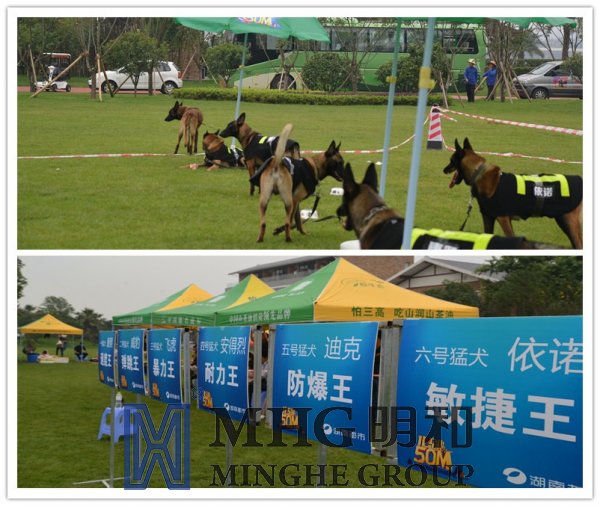 ��������(����կ)�ٷ���վ