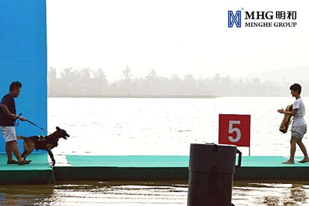 ������50�ס��ֳ����ʻ���