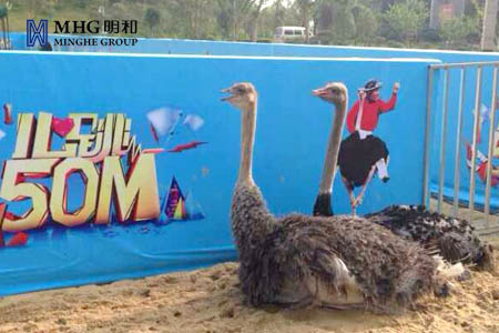 ��������(����կ)�ٷ���վ