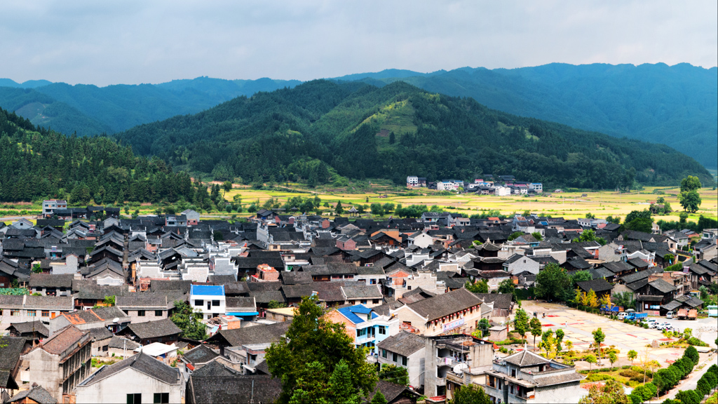 ��������(����կ)�ٷ���վ